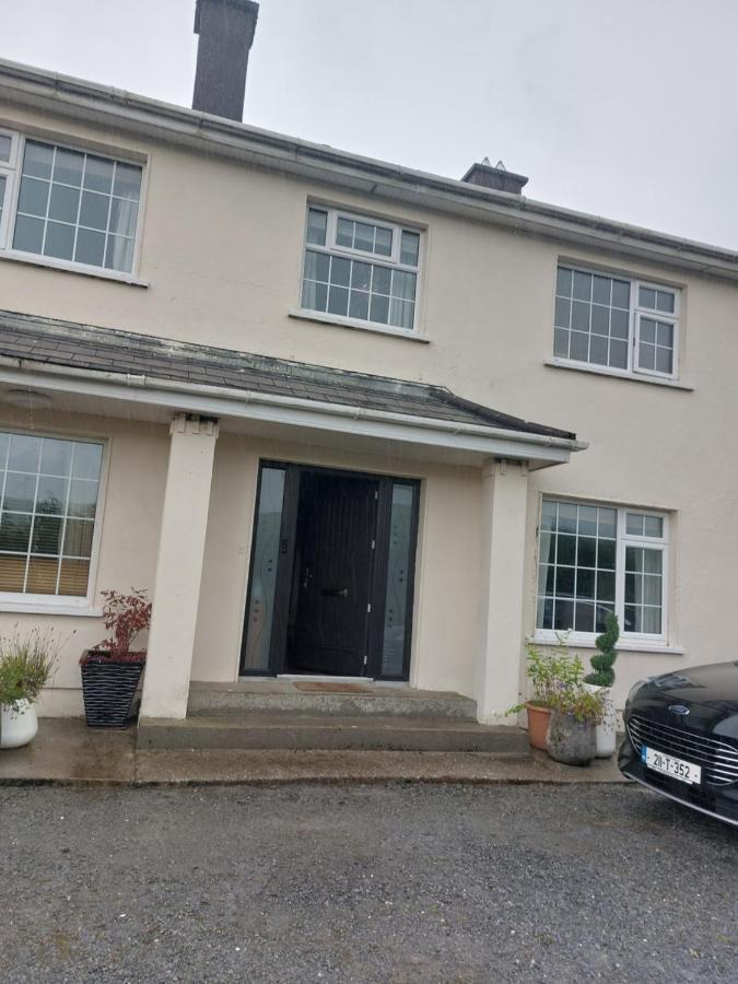 Hillside Haven 2 Apartamento Tipperary Exterior foto
